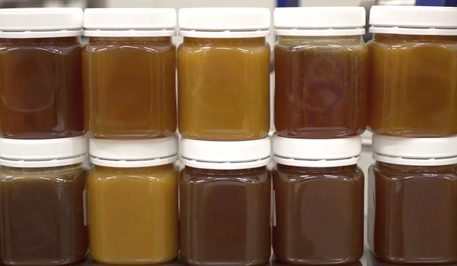 Hat Manuka-Honig immer dieselbe Farbe?