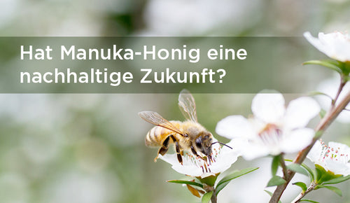 Hat Manuka-Honig eine nachhaltige Zukunft?