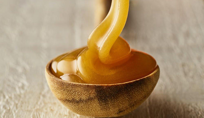 Manuka-Honig und die Bakterienart "H. Pylori"