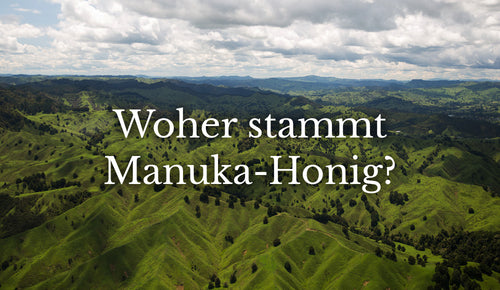 Woher stammt Manuka-Honig? Unsere Reiseautorin berichtet über das neuseeländische Manuka-Land